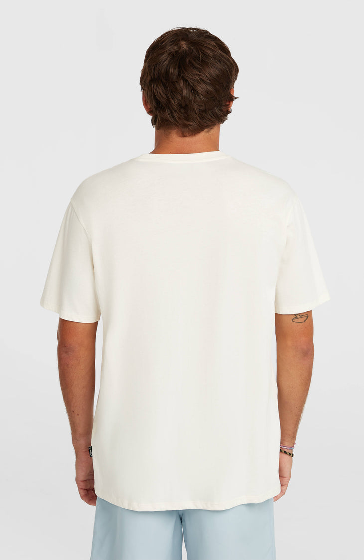 O'Neill Small Logo T-Shirt | Snow White
