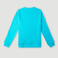 Circle Surfer Crew Sweatshirt | Bachelor Button