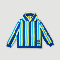 Brights Terry Kapuzenpullover | Blue Towel Stripe