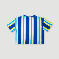 Brights Terry T-Shirt | Blue Towel Stripe