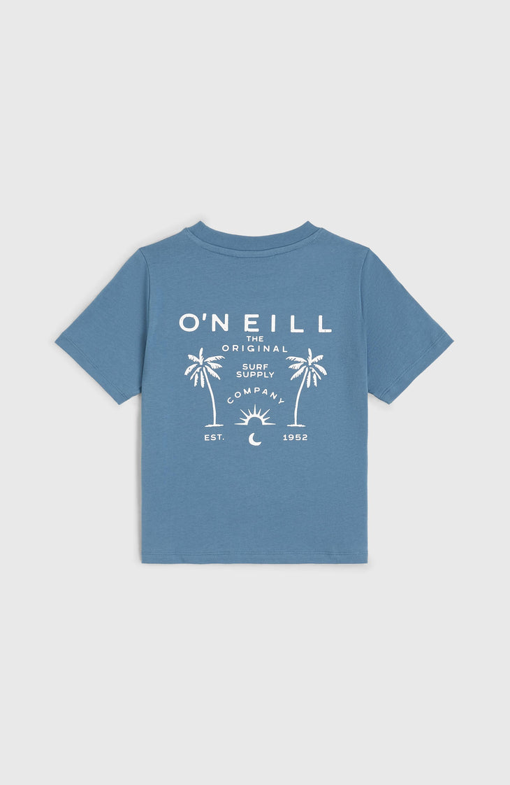 Short Graphic T-Shirt | Copen Blue