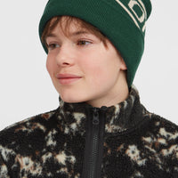 Powder Beanie | Emerald Envy Colour Block