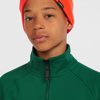 Dolomite Beanie | Tokyo Lights