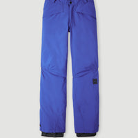 Hammer Skihose | Surf the web Blue