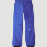 Hammer Skihose | Surf the web Blue