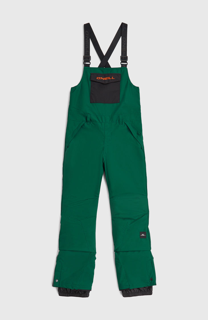 FWC'Cruz Bib Skihose | Emerald Envy Colour Block