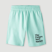 Future Surf Shorts | Beach Glass