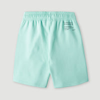 Future Surf Shorts | Beach Glass