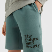 Future Surf Shorts | North Atlantic