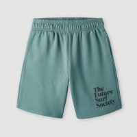 Future Surf Shorts | North Atlantic