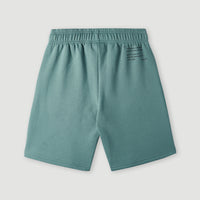 Future Surf Shorts | North Atlantic