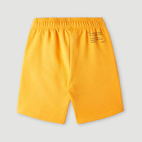 Future Surf Shorts | Nugget