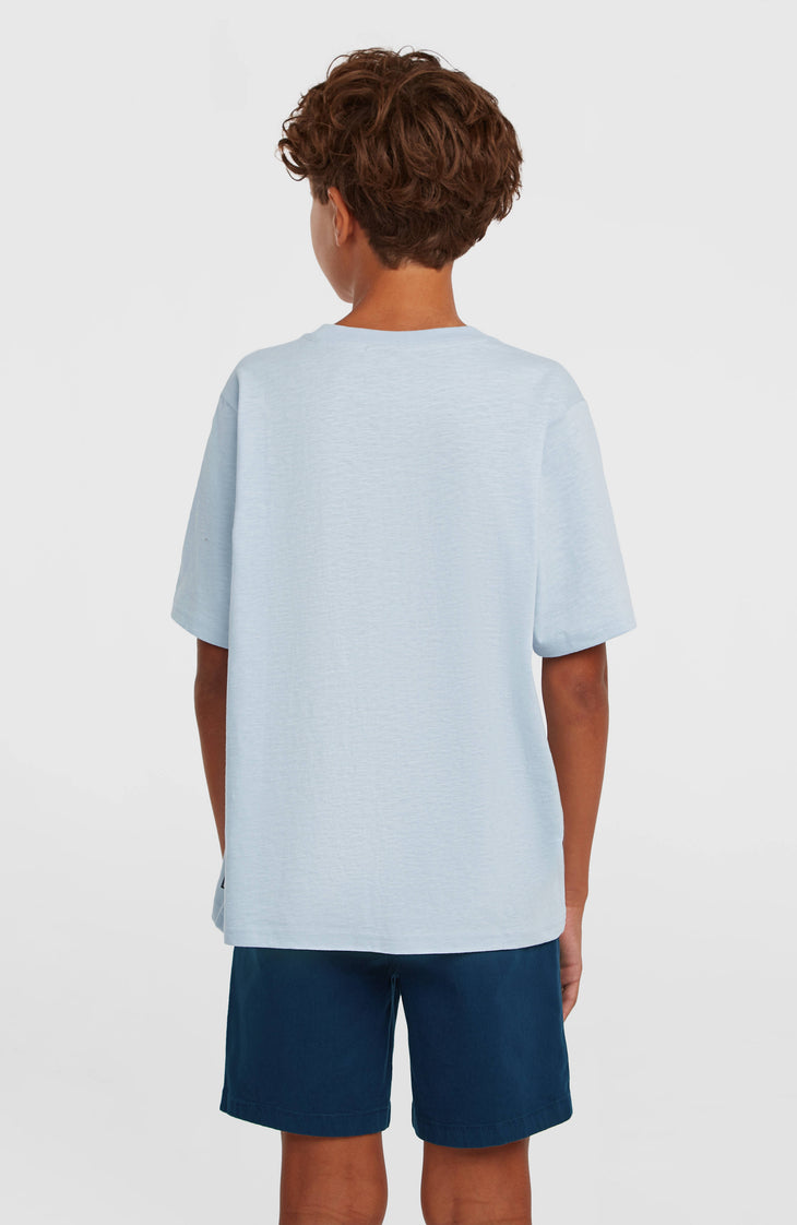 Chino-Shorts | English Evening