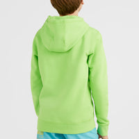 Circle Surfer Kapuzenpullover | Fluor Green