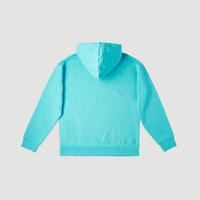 Anders Kapuzenpullover | Bachelor Button