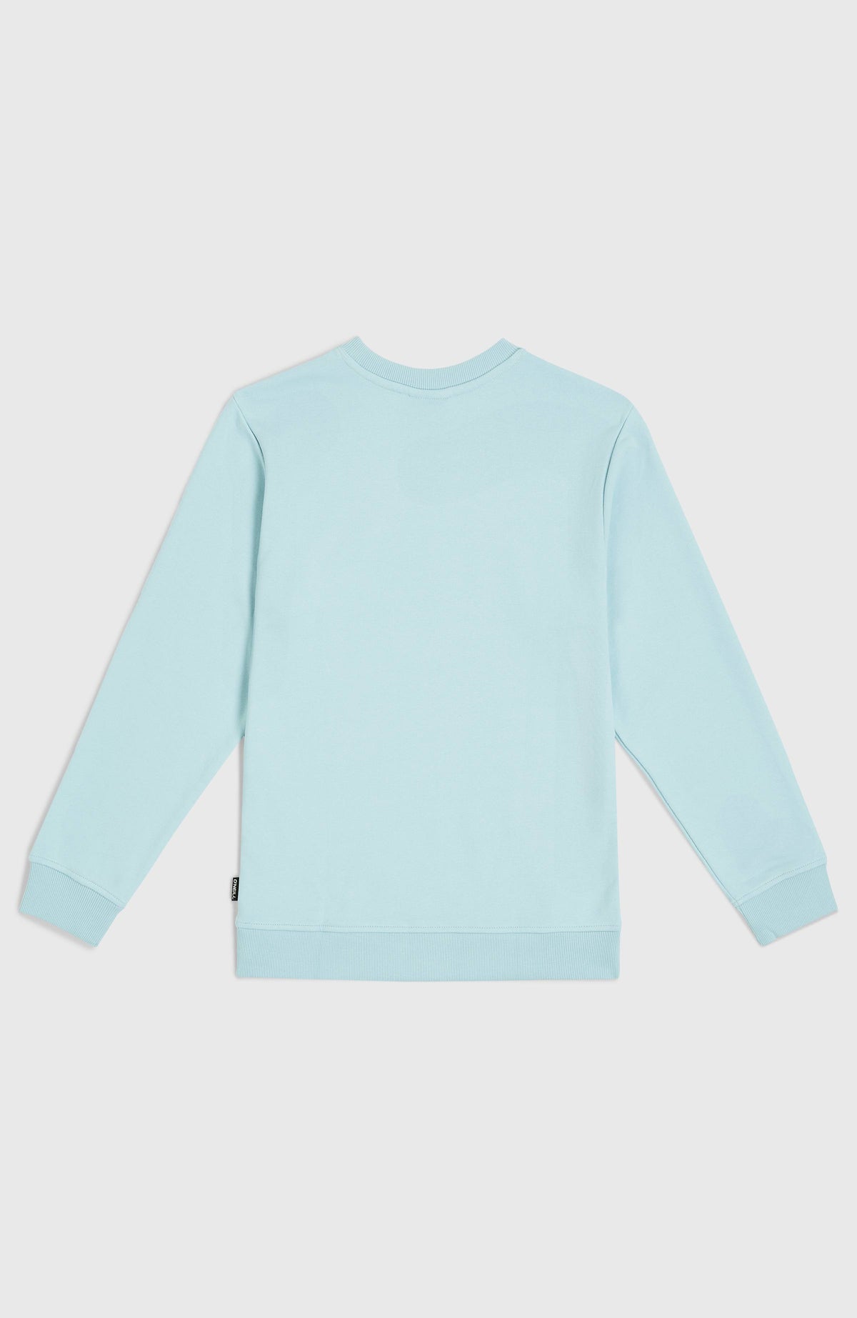 Logo Crew Sweatshirt | Morning Glory