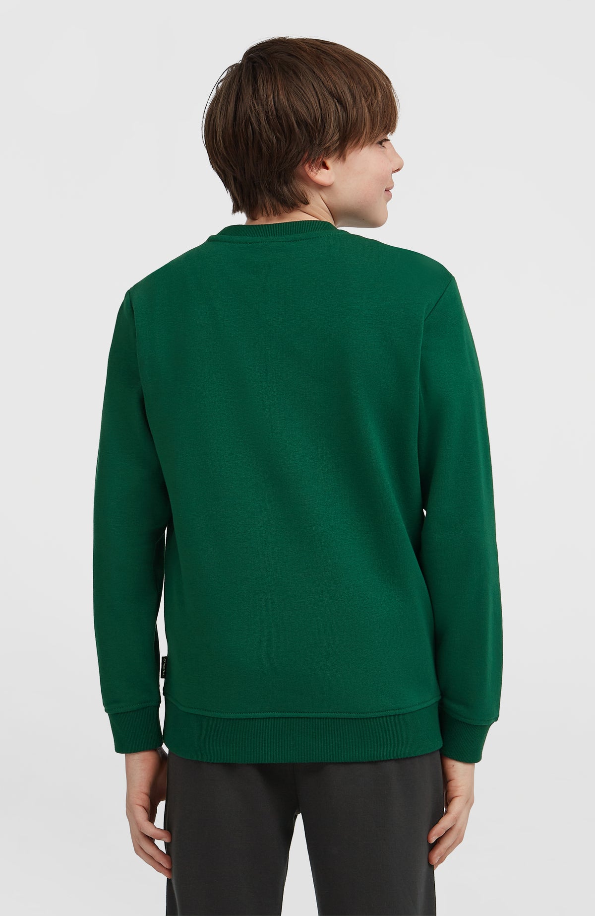 Essentials Crew Sweatshirt | Emerald Envy