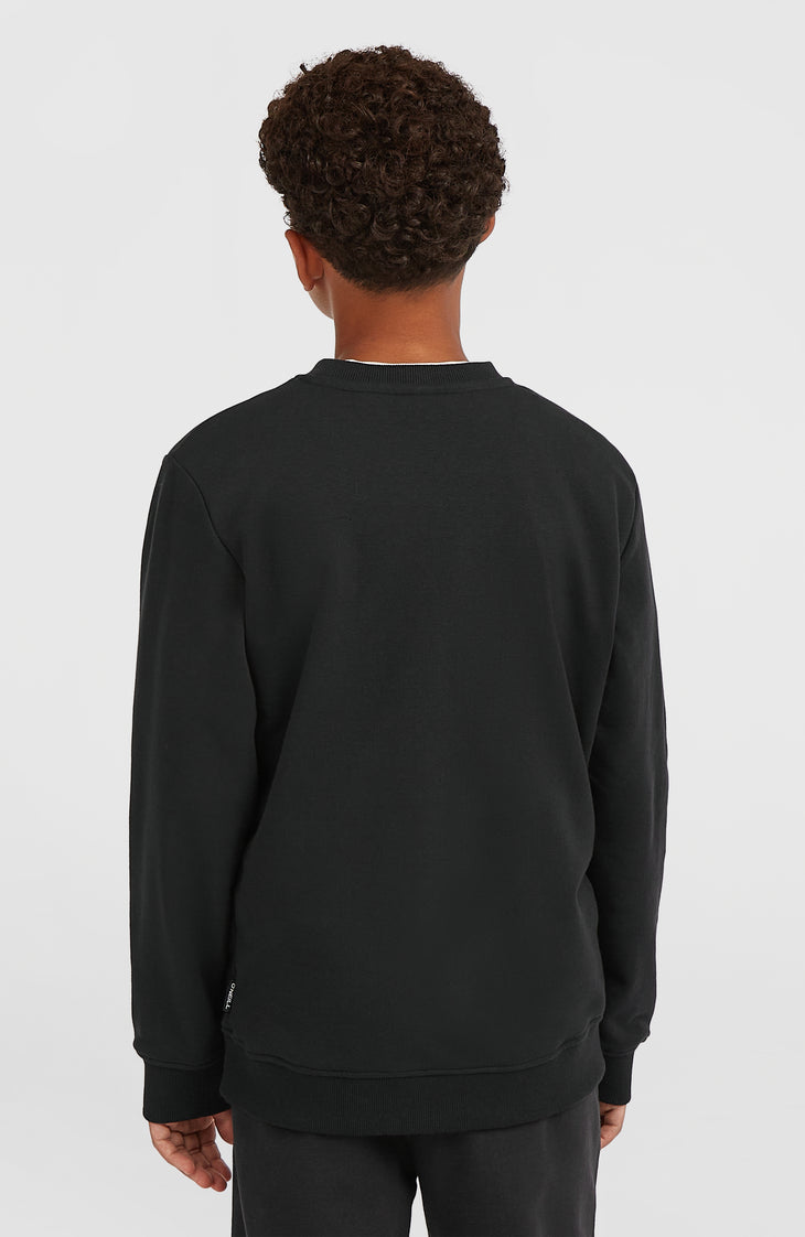 Essentials Crew Sweatshirt | Black Out