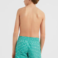 All Year 14 Badehose | Sea Green Boys First In