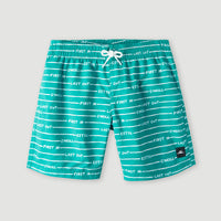 All Year 14 Badehose | Sea Green Boys First In