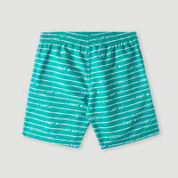 All Year 14 Badehose | Sea Green Boys First In