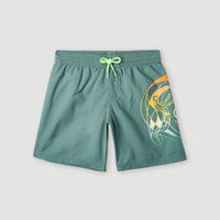 Circle Surfer 14'' Badehose | North Atlantic Circle Surfer Gradient