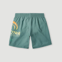 Circle Surfer 14'' Badehose | North Atlantic Circle Surfer Gradient