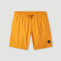 Future Surf Society 14'' Badehose | Nugget