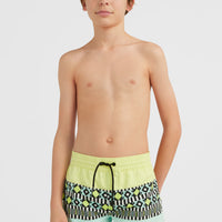 Cali Block 13'' Badehose | Beach Glass Colour Block