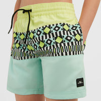 Cali Block 13'' Badehose | Beach Glass Colour Block