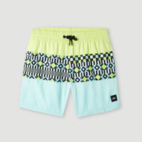 Cali Block 13'' Badehose | Beach Glass Colour Block