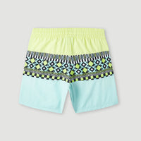 Cali Block 13'' Badehose | Beach Glass Colour Block