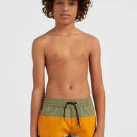 Cali Block 13'' Badehose | Nugget Colour Block