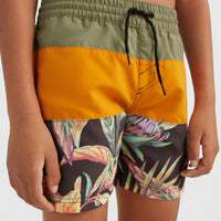 Cali Block 13'' Badehose | Nugget Colour Block