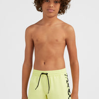 Cali Panel 14'' Badehose | Sunny Lime Colour Block