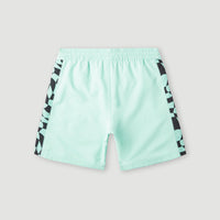 Cali Panel 14'' Badehose | Beach Glass Colour Block