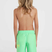 Circle Surfer 14'' Badehose | Neon Green Circle Surfer Gradient Panel