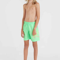 Circle Surfer 14'' Badehose | Neon Green Circle Surfer Gradient Panel