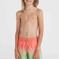 Jack O'Neill Cali Gradient 14'' Badehose | Living Coral Simple Gradient Panel