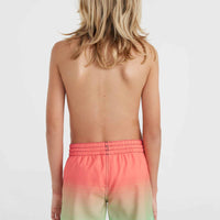 Jack O'Neill Cali Gradient 14'' Badehose | Living Coral Simple Gradient Panel