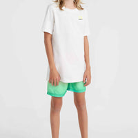 Jack O'Neill Cali Gradient 14'' Badehose | Living Coral Simple Gradient Panel