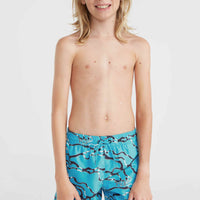 Jack O'Neill Cali Crazy 14'' Badehose | Light Blue Ocean View