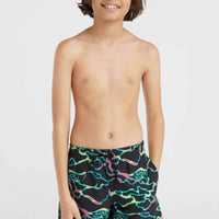 Jack O'Neill Cali Crazy 14'' Badehose | Black Ocean View