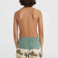 Mix and Match Cali Block 13'' Badehose | Beige Venice Beach