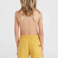 Vert 14'' Badehose | Golden Haze