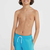 Vert 14'' Badehose | Neon Blue