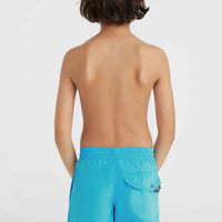 Vert 14'' Badehose | Neon Blue