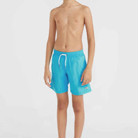 Vert 14'' Badehose | Neon Blue