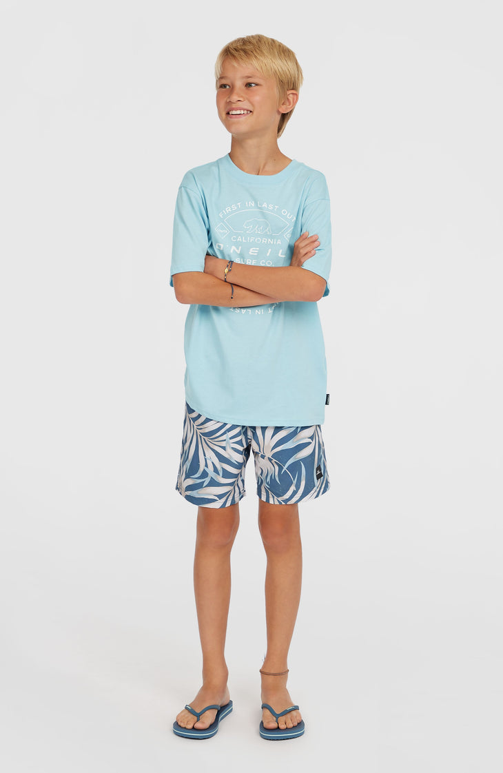 Cali 14'' Badehose | Blue Dipped Leaves