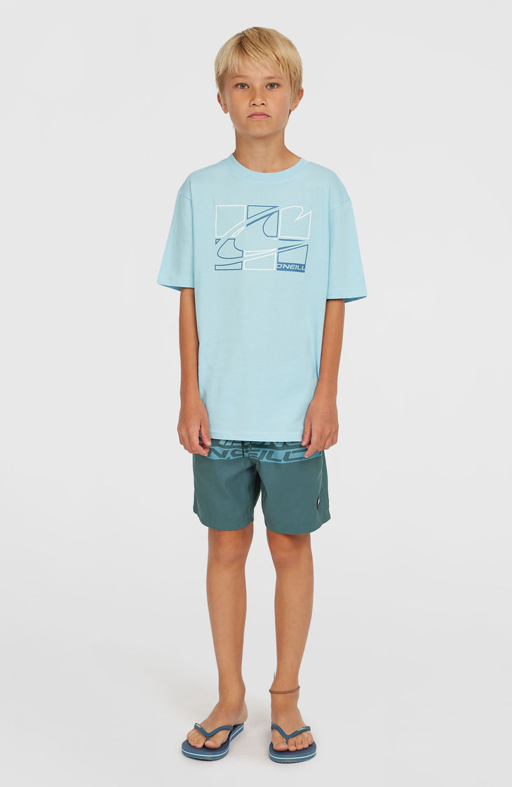 Cali Stripe 14'' Badehose | Blue Upside Down